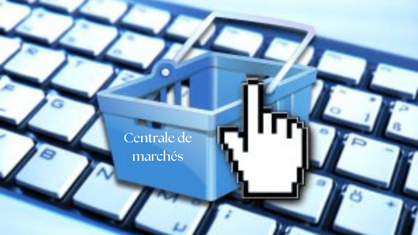 Slide IMSTAM 8